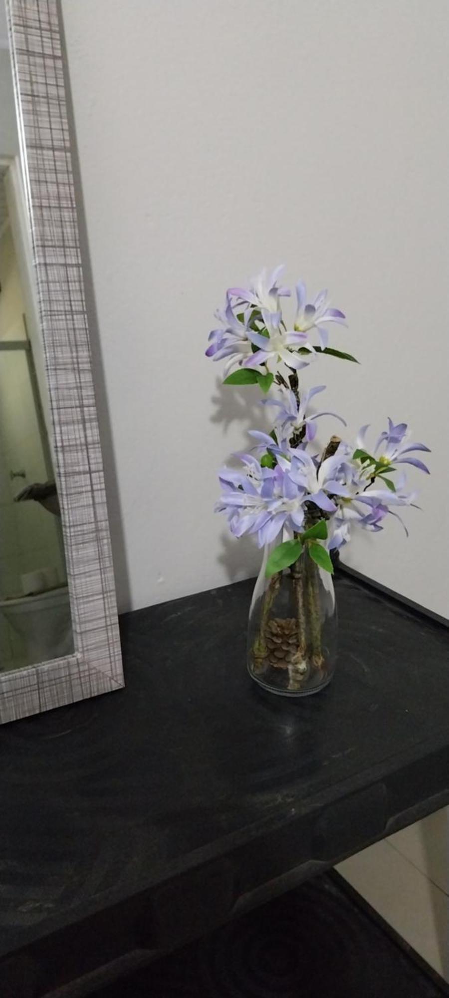CananéiaChale Da Bia别墅 外观 照片